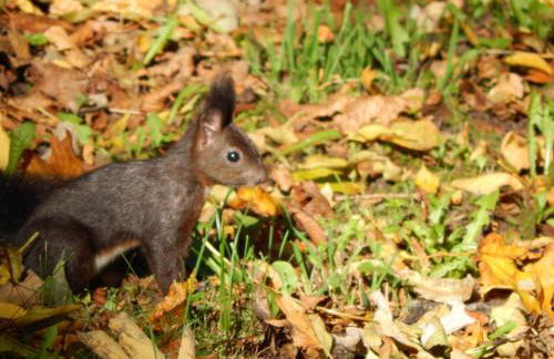 FREE Apartment - Bei den Thermen - Foto 66