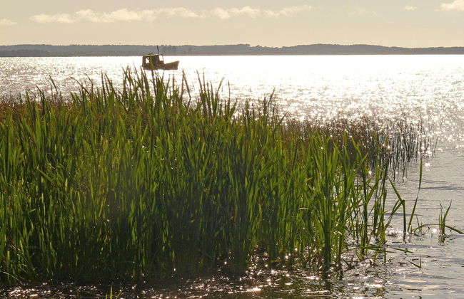 Zakątek Ventus II - Foto 14