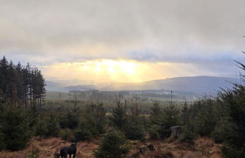 Hunsrücker Tiny Ferien L - Foto 42