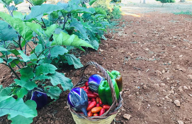 Villa Laura - Foto 26