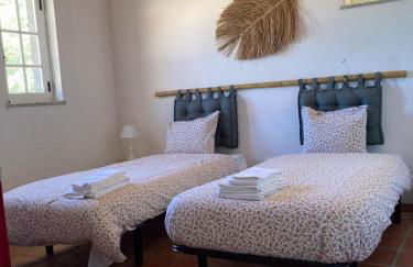 Monte do Medronhal - Foto 35