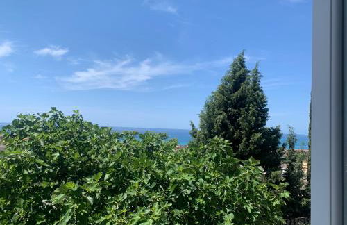 Palazzo Carratelli - Foto 16