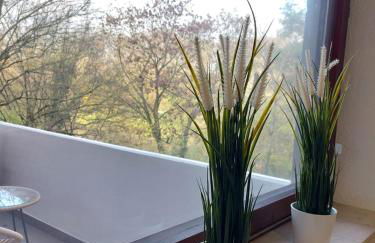 Rooftop Apartments - Gemütliches Apartment 4P nahe Ratiopharm Arena - Foto 8