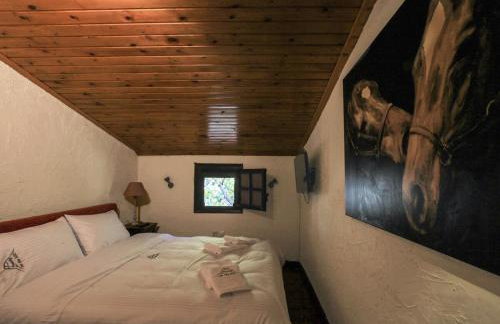 Dandy Villas Agoriani - Chalet Kallisti - Fireplace - Up to 6 - Foto 4