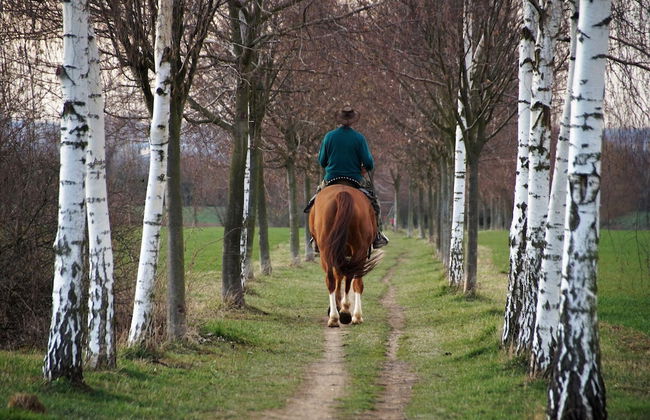 Spacious Stay With Terrace - Foto 51