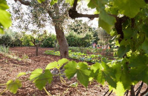 Masseria Lacatena - Foto 51