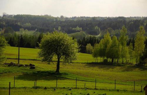 Domki na Wzgórzu - Rospuda - Domek z sauną - Foto 25
