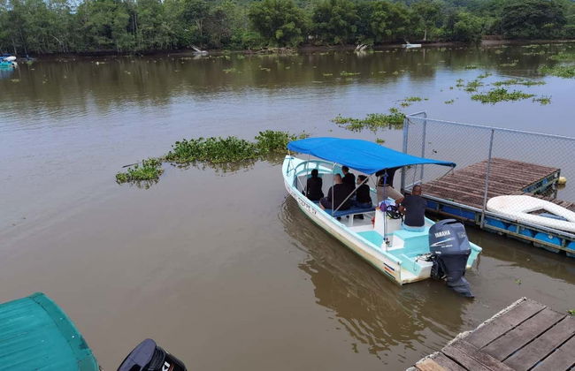 Excursión al Parque Nacional Corcovado - Foto 3