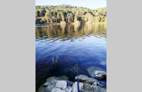 Susan Home - Foto 47