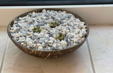 Lake View Lincoln - Foto 9