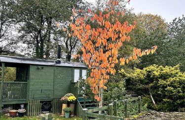 Shepherds hut, Eco, Log burner Hot tub NY moors - Foto 22