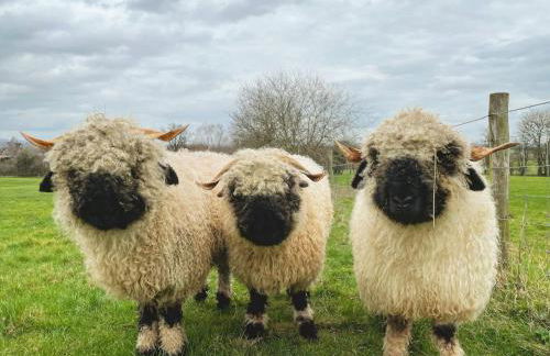 Stunning rural Barn Conversion - Photo 23