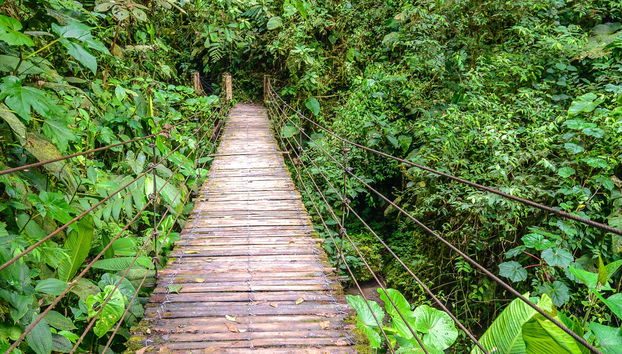 Mindo Day Trip - Foto 4