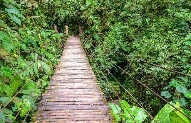 Mindo Day Trip - Photo 8