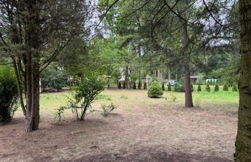 Charming Forest Home near Warsaw - Photo 4