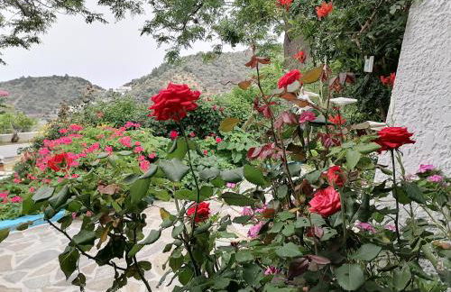 Studios Ioanna Limnionas Samos - Foto 69