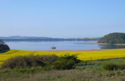 Vogelhaus Gobbin - Foto 11