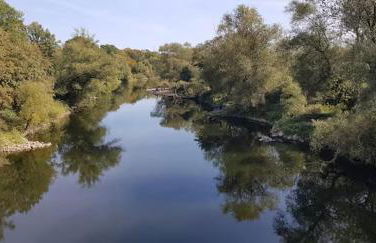 Ferienwohnung Bachstelze mit privater Terrasse - Foto 53