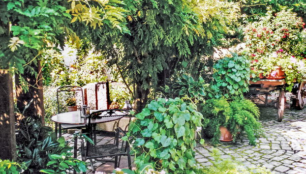 Haus Schwärzel - Foto 5, Terrace
