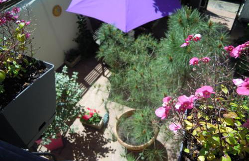 Champoiseau - Foto 24