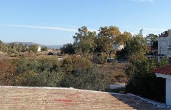 Elizas house - Foto 5