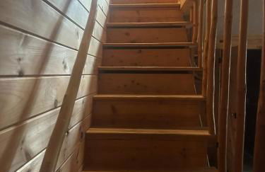 Bearly Behavin - Foto 33