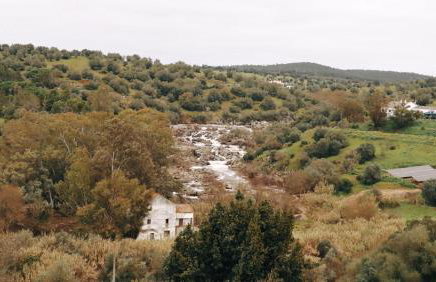 Refúgio da Azinheira - Photo 12