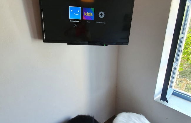 Diamoni Afroditi - Photo 10