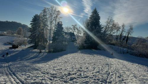 Kuća za odmor Šumska Vila - Foto 4