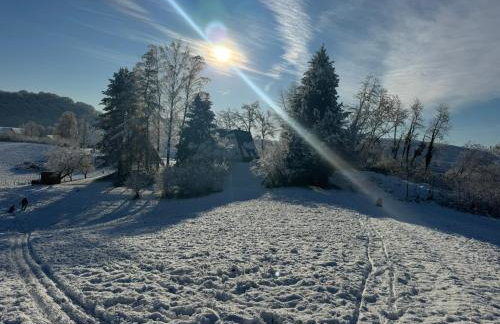 Kuća za odmor Šumska Vila - Foto 4