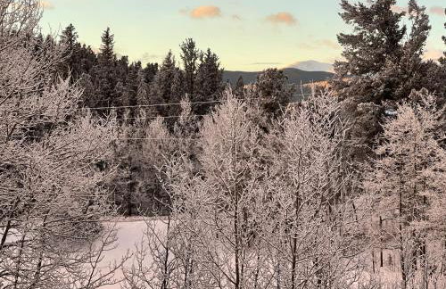 Meandering Moose Apartment Vacation Rental - Foto 76