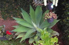 Casa Charmosa e Aconchegante em Serra Negra - SP - Foto 14