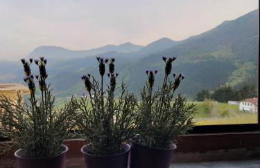 Agroturismo Erlete Goikoa -ESTAMOS EN EL CAMINO DE SANTIAGO -WE ARE ON THE CAMINO DE SANTIAGO- SENDERISMO-RUTAS Y BICICLETA - Photo 25