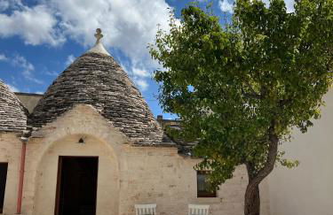 Nidus Petrae - Foto 23