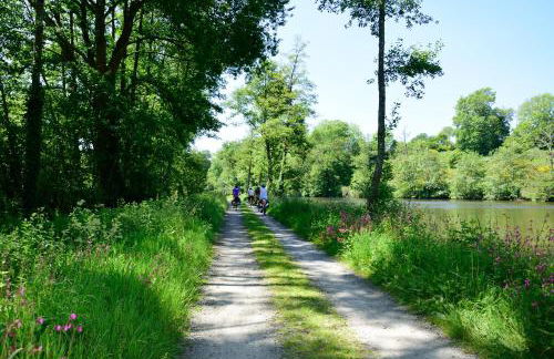 La Fourmondière supérieure, maison éclusière - Photo 13