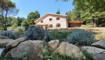 Stirpe nel Bosco - Allocco - Foto 3, Garden