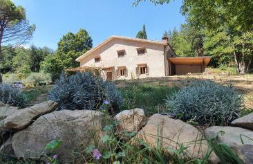 Stirpe nel Bosco - Fiocco - Foto 4