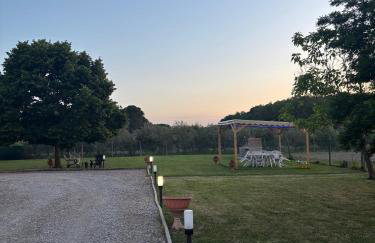 Alloggio Turistico Trasimeno II Castiglione Del Lago - Foto 45