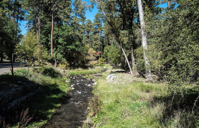 Mountain Flo - Foto 16