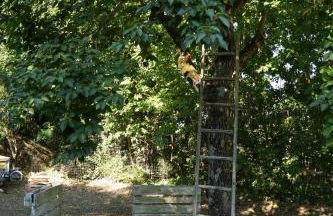 Casale Conca dei Sogni - Foto 29