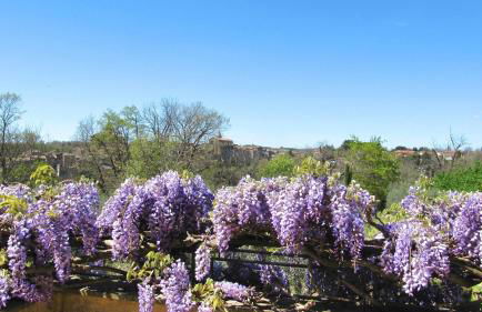 Villa Montecasciano - Foto 35
