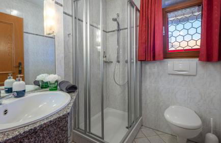 Aparthotel Chiemgaufuchs - CHIEMGAUKARTE - Foto 47