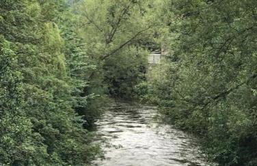 Skylark View, Most Stunning Views over Matlock. - Foto 49