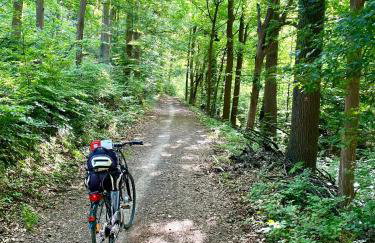 Alraftsblick - Photo 22