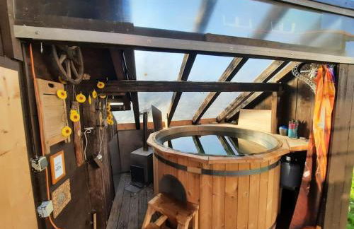 Musik und Natur - Balboo - Bayrischer Wald - Sauna - Pool - Grillen - Foto 6