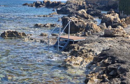 Corinna Mare - Foto 16