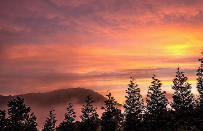 Hickory Nut Hideaway by Avantstay Mountain Views - Foto 31