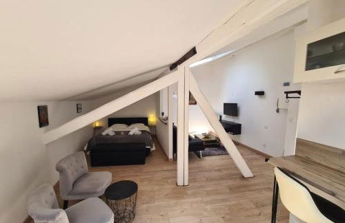 Nice studio under the roof ideal for 2 in Toulouse - Foto 3