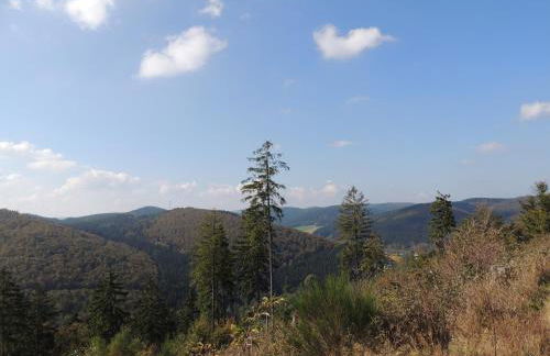 Schloß Wittgenstein - Foto 6