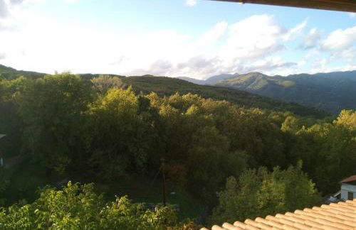 Τείχιο Πατρικό - Tihio Patriko - Πέτρινη κατοικία - Foto 62